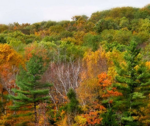 A Hiker’s Guide to Fall Color in North Central Massachusetts