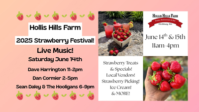 2025-Strawberry-Festival