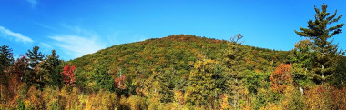 North County Land Trust, Leominster