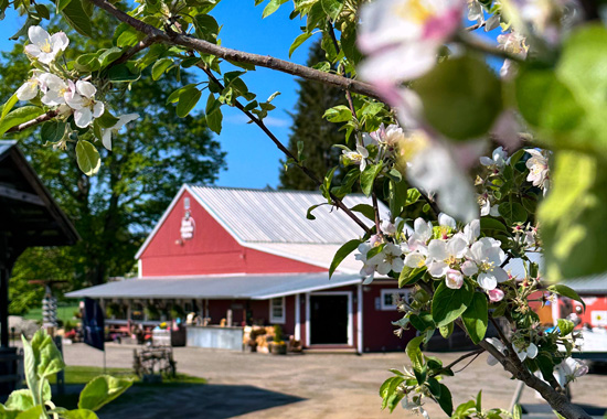 Agricultural-Revolution-in-Massachusetts