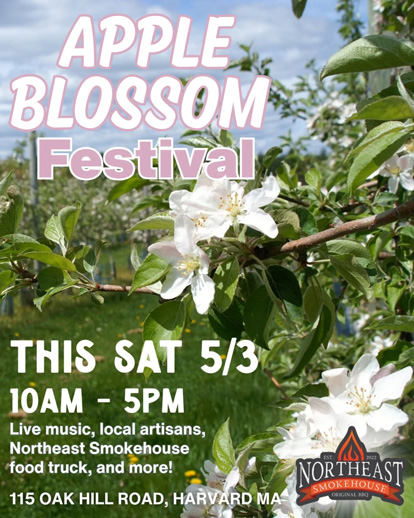 Apple-Blossom-Festival-in-MA