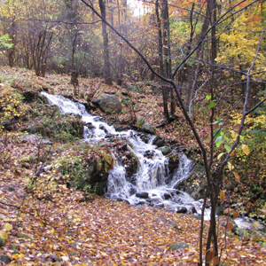 Barrett-Park-Waterfall-in-Leominster-MA