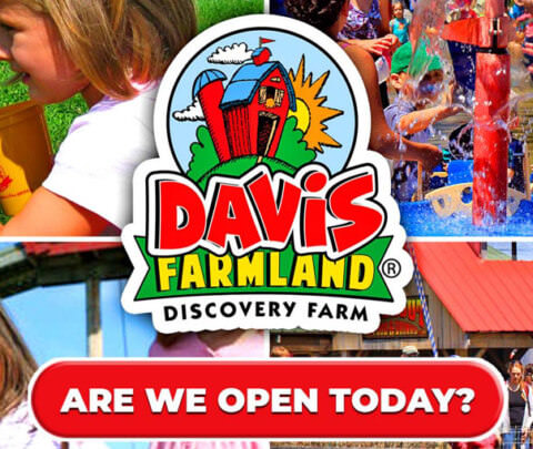 Davis Farmland