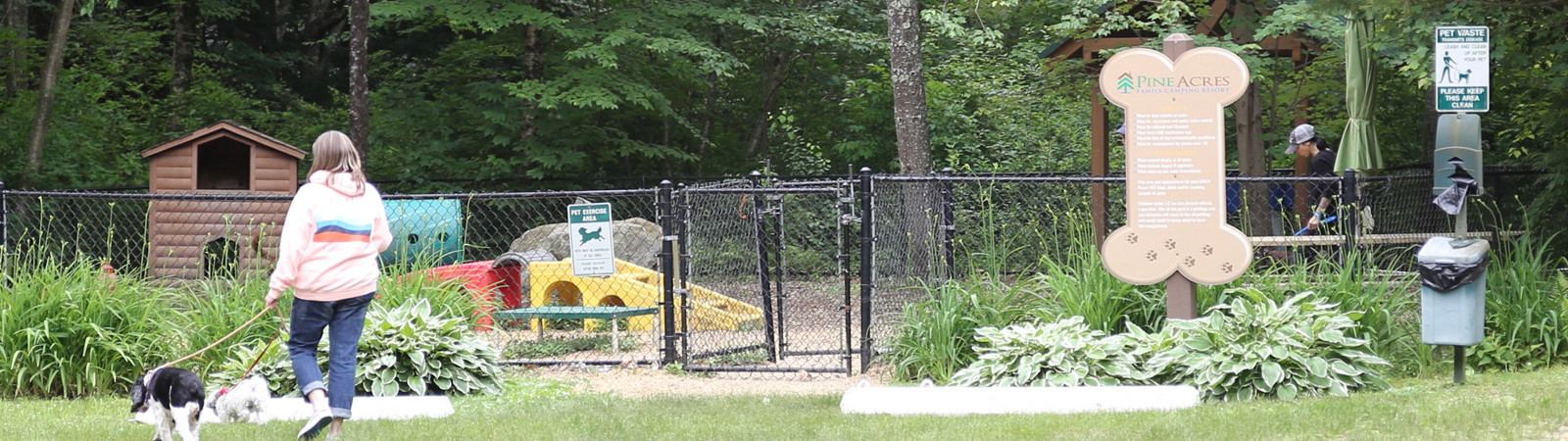 Exploring-North-Central-Massachusetts-with-Your-Dog