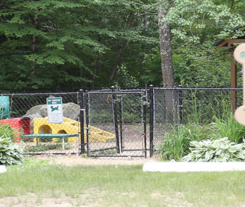 Exploring-North-Central-Massachusetts-with-Your-Dog