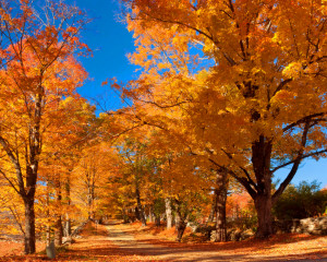 Fall Massachusetts