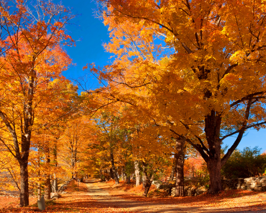 Trails Less Traveled Visit North Central construction-on-rail-trail-underway-news-sports-jobs-adirondack