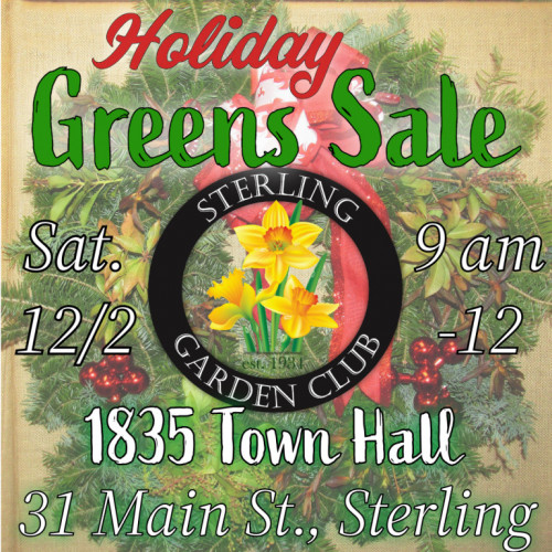 Holiday Greens Sale Flyer 2023
