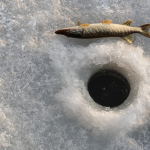 Ice Fishing in Massachusetts