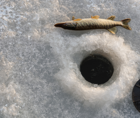 Ice Fishing in Massachusetts