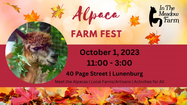 In the Meadow Farm Fall Festival
