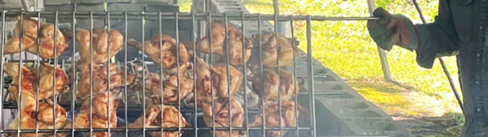 Kesajuhla - Summer Festival at Saima Park in Fitchburg