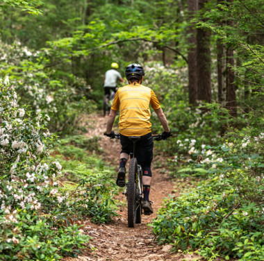 Leominster-State-Forest