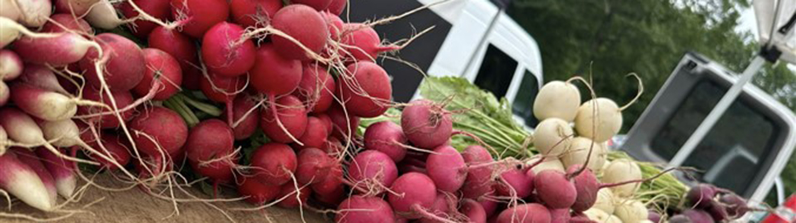 Massachusetts Farmer Market