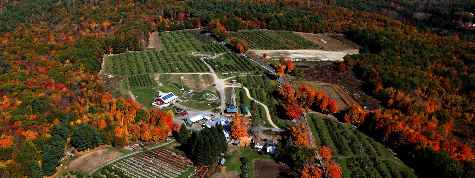 Massachusetts-Farms-and-Orchards