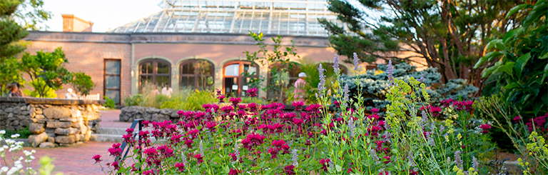 New England Botanic Garden at Towerl Hill