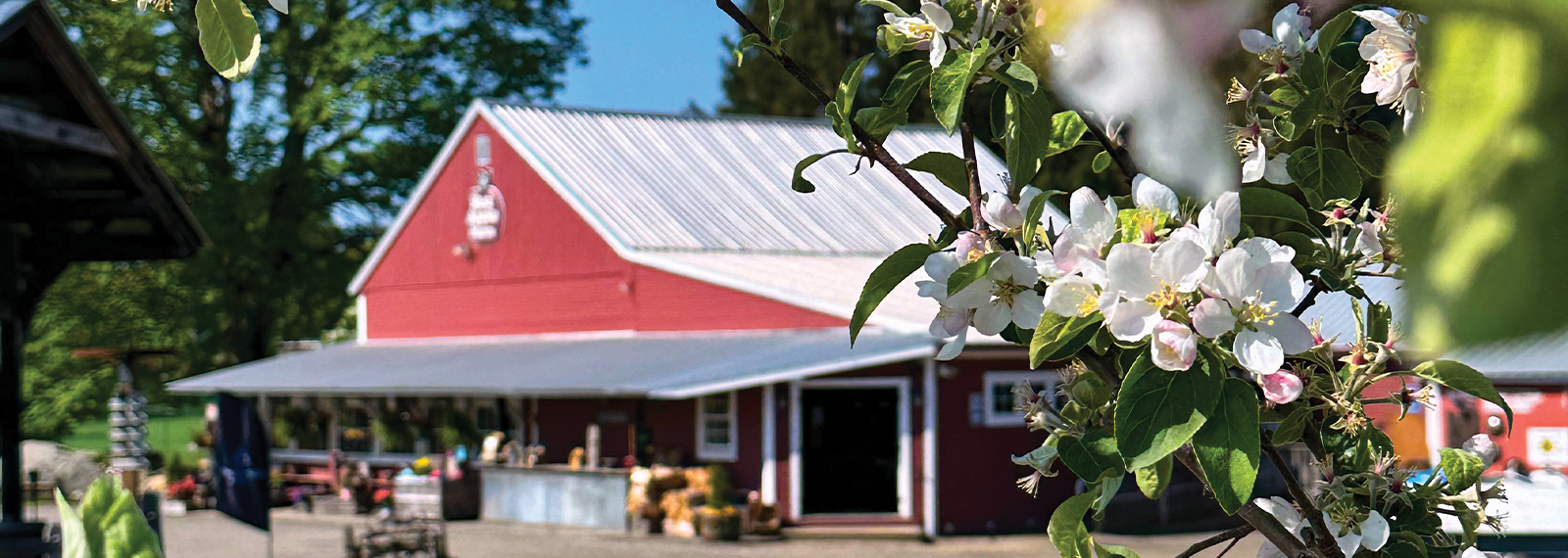 Diversification at Red Apple Farm • Visit North Central