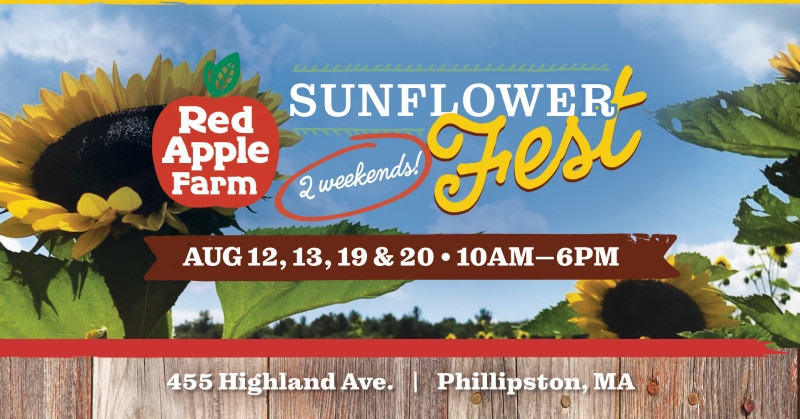 Red Apple Farm Sunflower Festival