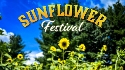 Red Apple Farm - Sunflower Festival