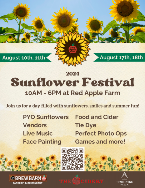 Sunflower Festival at Red Apple Farm Aug 18 2024 Visit North Central