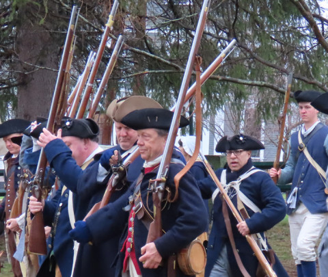 Sunflowers,-Music,-and-Small-Town-Traditions--Festival-Season-Is-Here