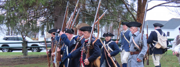 Sunflowers,-Music,-and-Small-Town-Traditions--Festival-Season-Is-Here