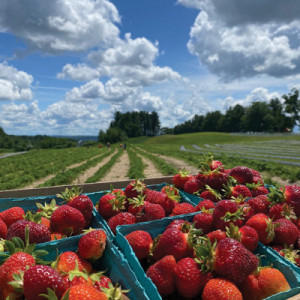 The-Agricultural-Revolution-was-born-in-North-Central-Massachusetts!