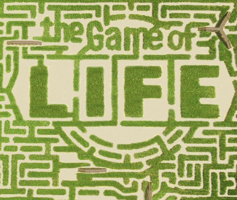 The Game of Life at Davis Mega Maze