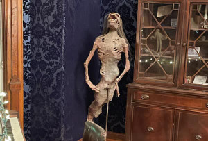 The fiji mermaid at the SK Pierce Mansion