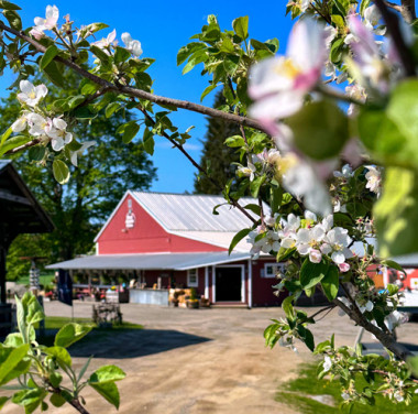 VNCM-Group-Tours-&-Bus-Tours