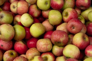 akshay-nanavati-fcddfuuxh-c-unsplash Apples
