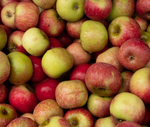 Apples