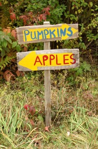 apples or pumpkins sign