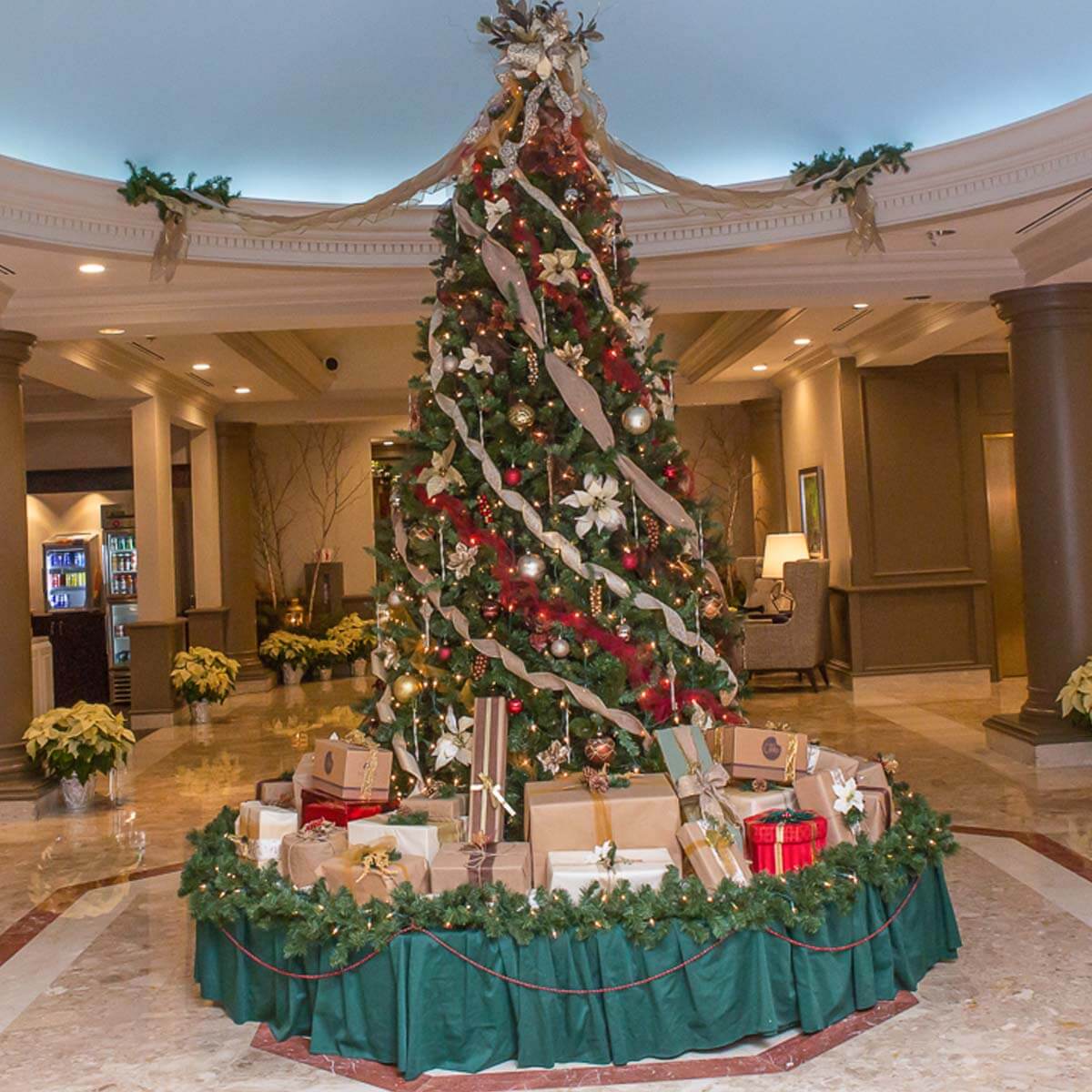 O Christmas Tree! • Visit North Central