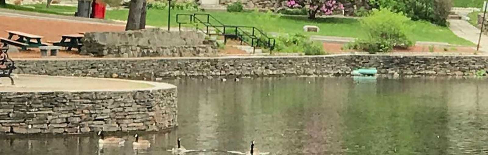 Coggshall Park • Visit North Central