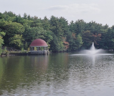 cogshall lake