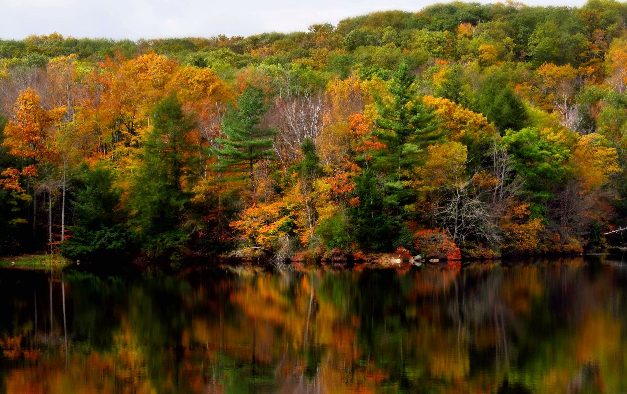 Falling Leaves North Central Massachusetts Fall Foliage Guide • Visit