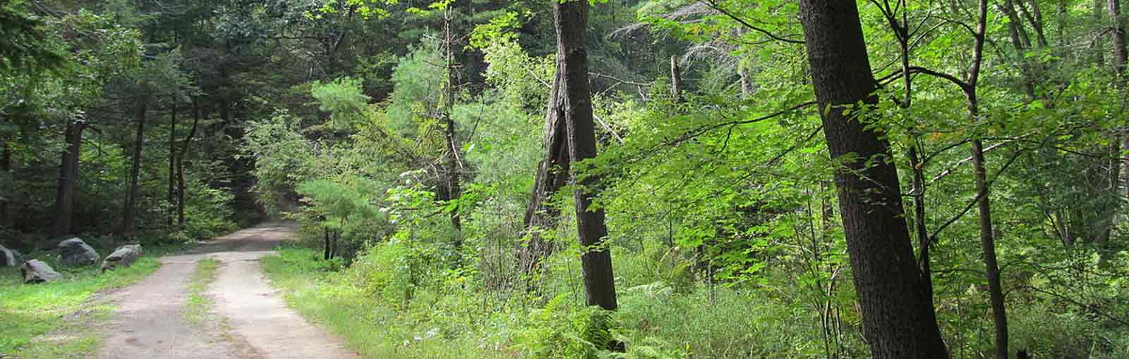 Federated Women’s Club State Forest • Visit North Central