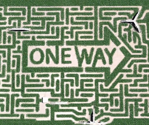 mega-maze