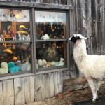 plain-view-alpaca-at-window