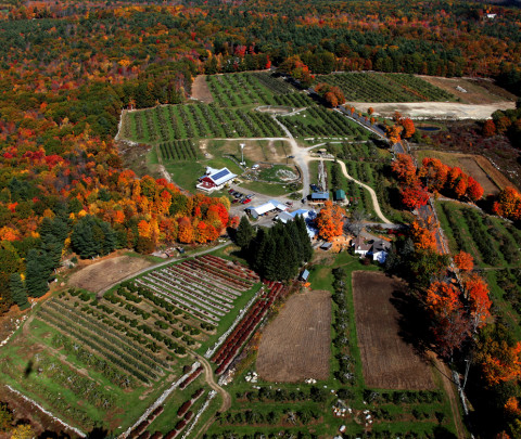Red Apple Farm